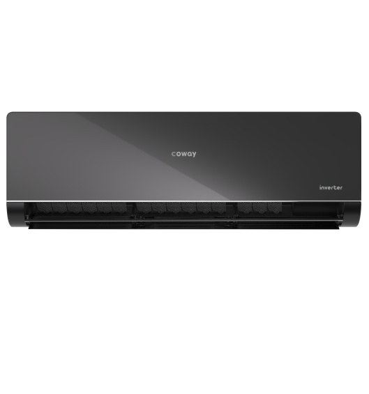Coway P Series